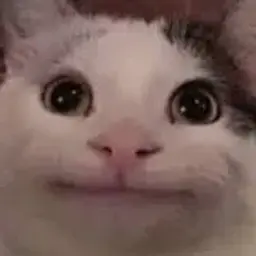 grigoren2