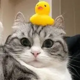 Достойный_неактив8510755