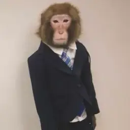 k1mo