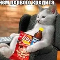 stoim_ok