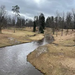 ментол