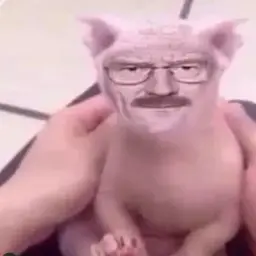 Fkaik