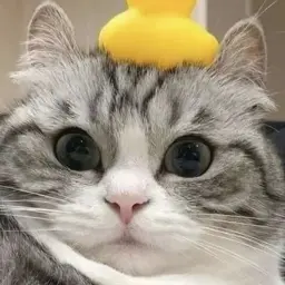 whyulookme