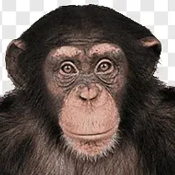 MarcusLZT