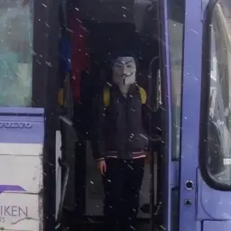 pijawca