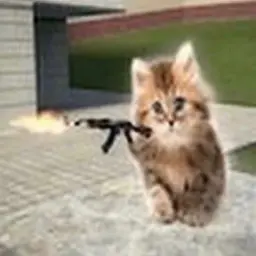 BoyzHelloKitty