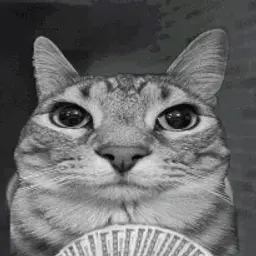 Lyoha