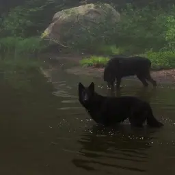 ооопнукуек