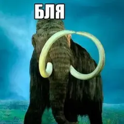 Artemzhig