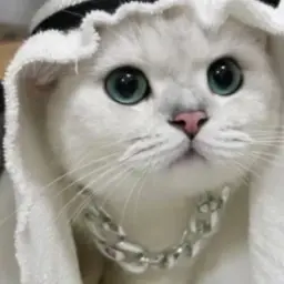 ПикПик