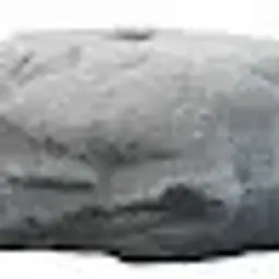 Djohia
