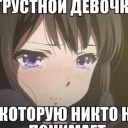паспорт