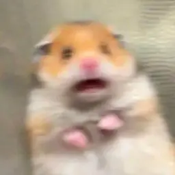 kyky
