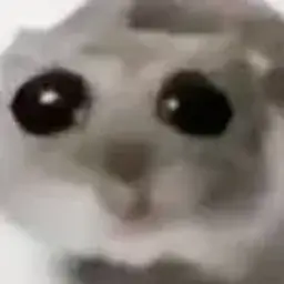 Tochno_chelowek