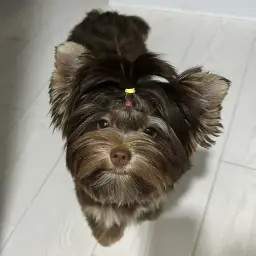 rerytyty