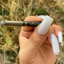 фламо