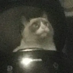 Mafioznik