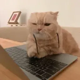 rub_wb