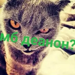 HLOP_321