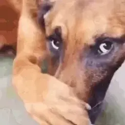 xddddddddd
