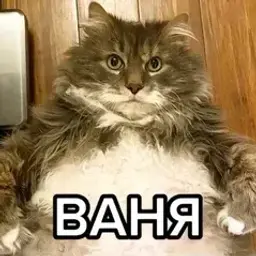 moom1nday