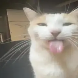 fweaky