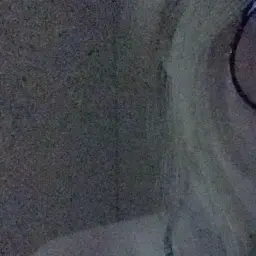 gxsix777