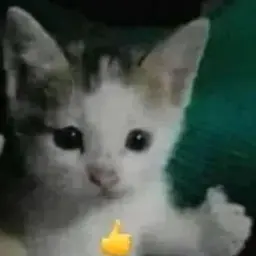 Irorsslm
