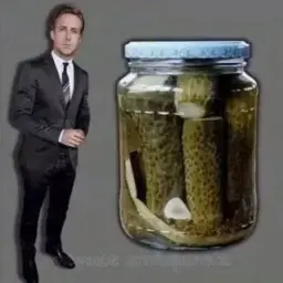 shmelytr