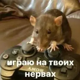 Clashofcs