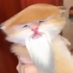 NingaGo