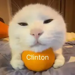 Clinton