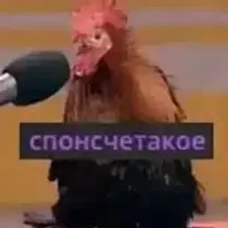 спонсчетакое