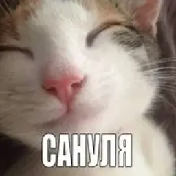 ЯнеНаоко