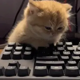 Аноним777