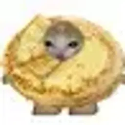 Reginpp