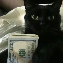 mooDenb