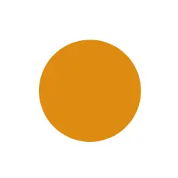 parasonic