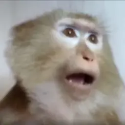 mellmemees