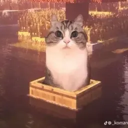 mrdevoff