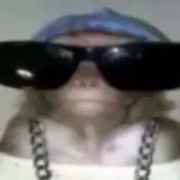willledix
