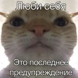 taefednu