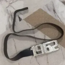Gg12479