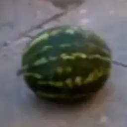 arbuzarbuz
