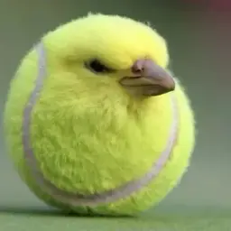 eessssfff
