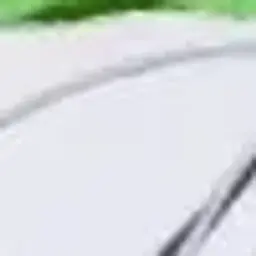 kot_pro12