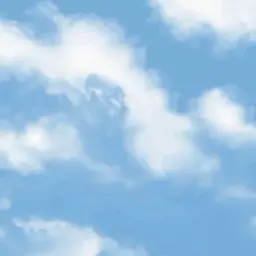 pupsik12310007