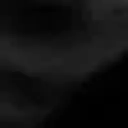 aahross