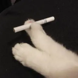 bluedanilka