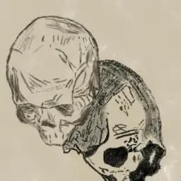 usernamedekki